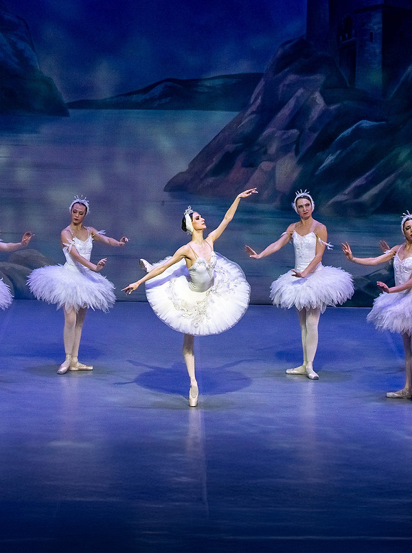 Poster für: Schwanensee Royal Classical Ballet
